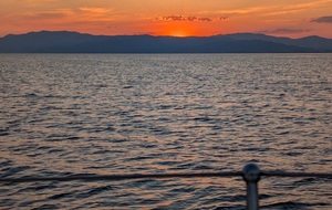6a59c87a472dd_imagepickerFD1C25040F1947F88FD0D00A43DBC82C15305000019F3F7F07435.jpg